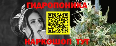 ешки Гай