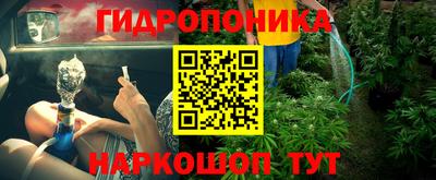 ешки Гай