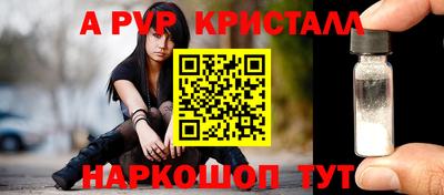 ешки Гай