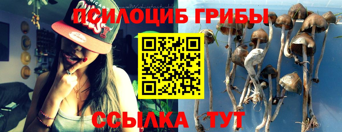 Гуково  Галлюциногенные грибы мицелий  Псилоцибиновые грибы прущие грибы  Вход с VPN 